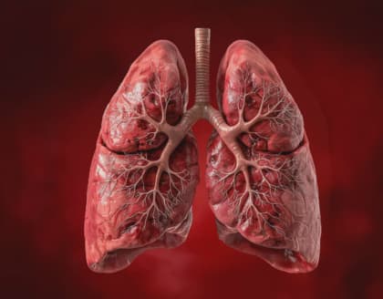 Mucus From Lungs Disappears Overnight! Try This Simple Method