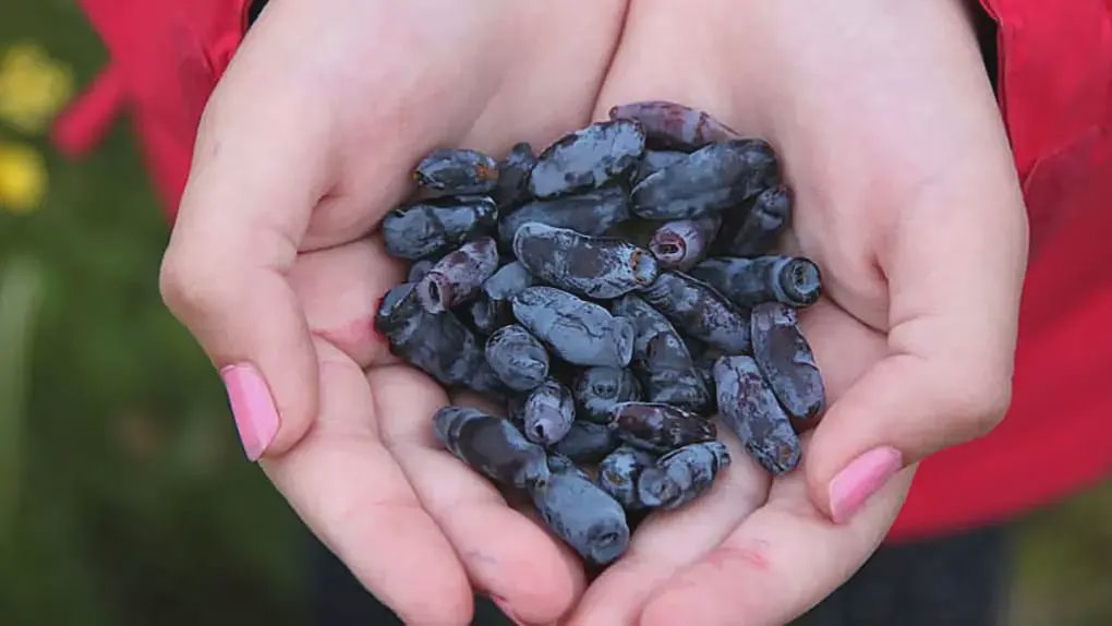 Endocrinologist: Do This Immediately If You Have High Blood Sugar